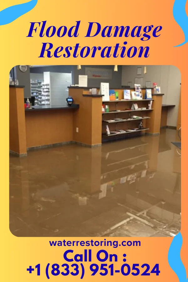 Flood Damage Restoration in Ambrose, GA