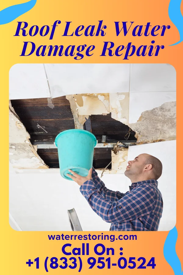 Roof Leak Water Damage Repair in Ambrose, GA